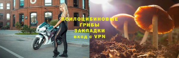 молекула духа Володарск