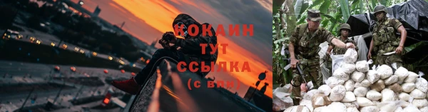 молекула духа Володарск