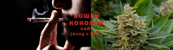 шишки Волосово