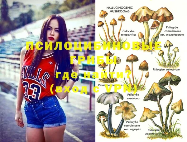 молекула духа Володарск