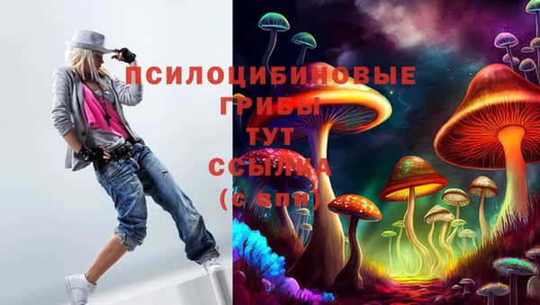 шишки Волосово
