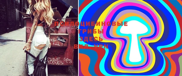 молекула духа Володарск