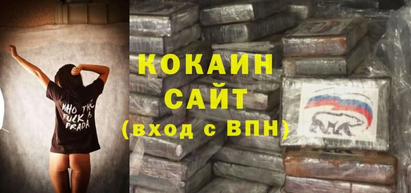 шишки Волосово
