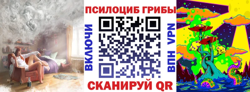 Галлюциногенные грибы Psilocybine cubensis  закладка  Энгельс 